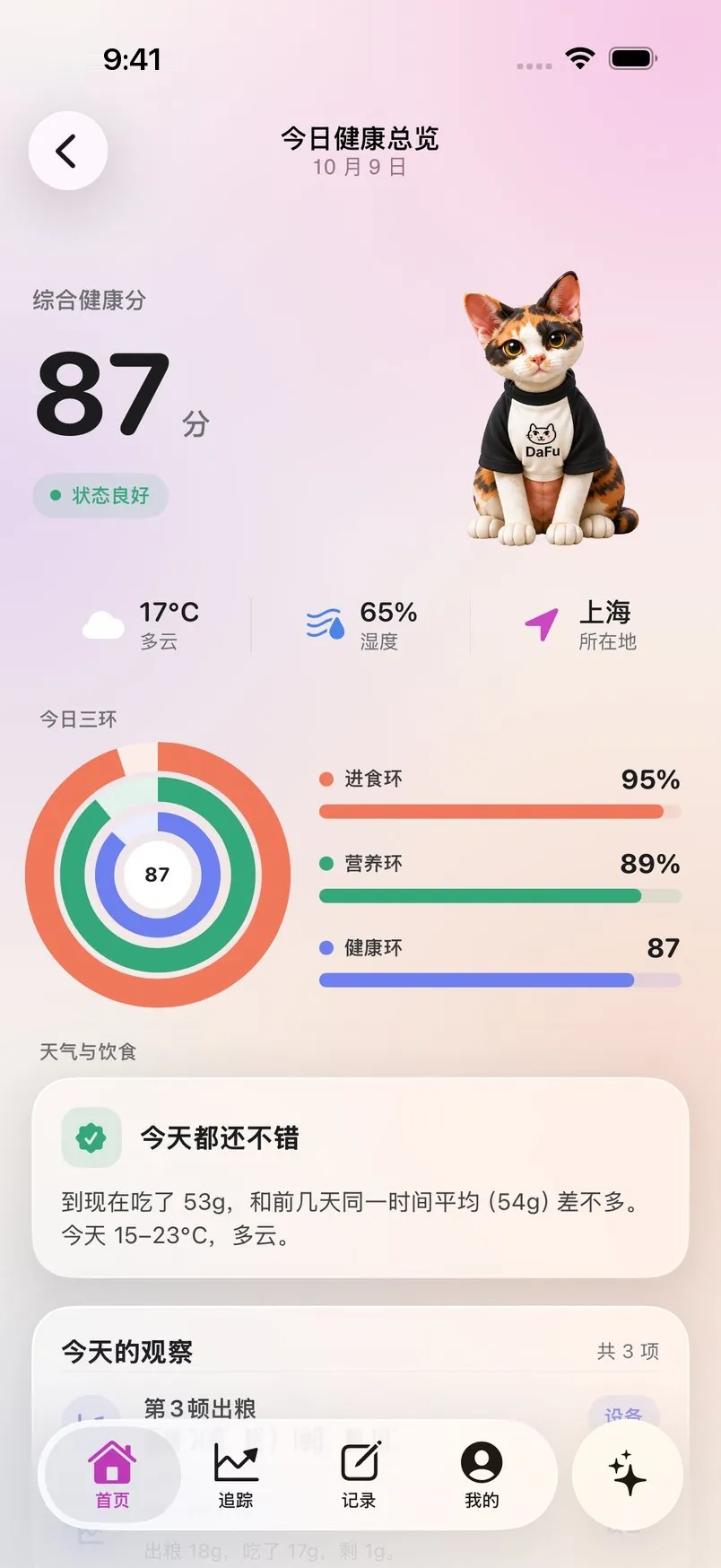 今日健康总览