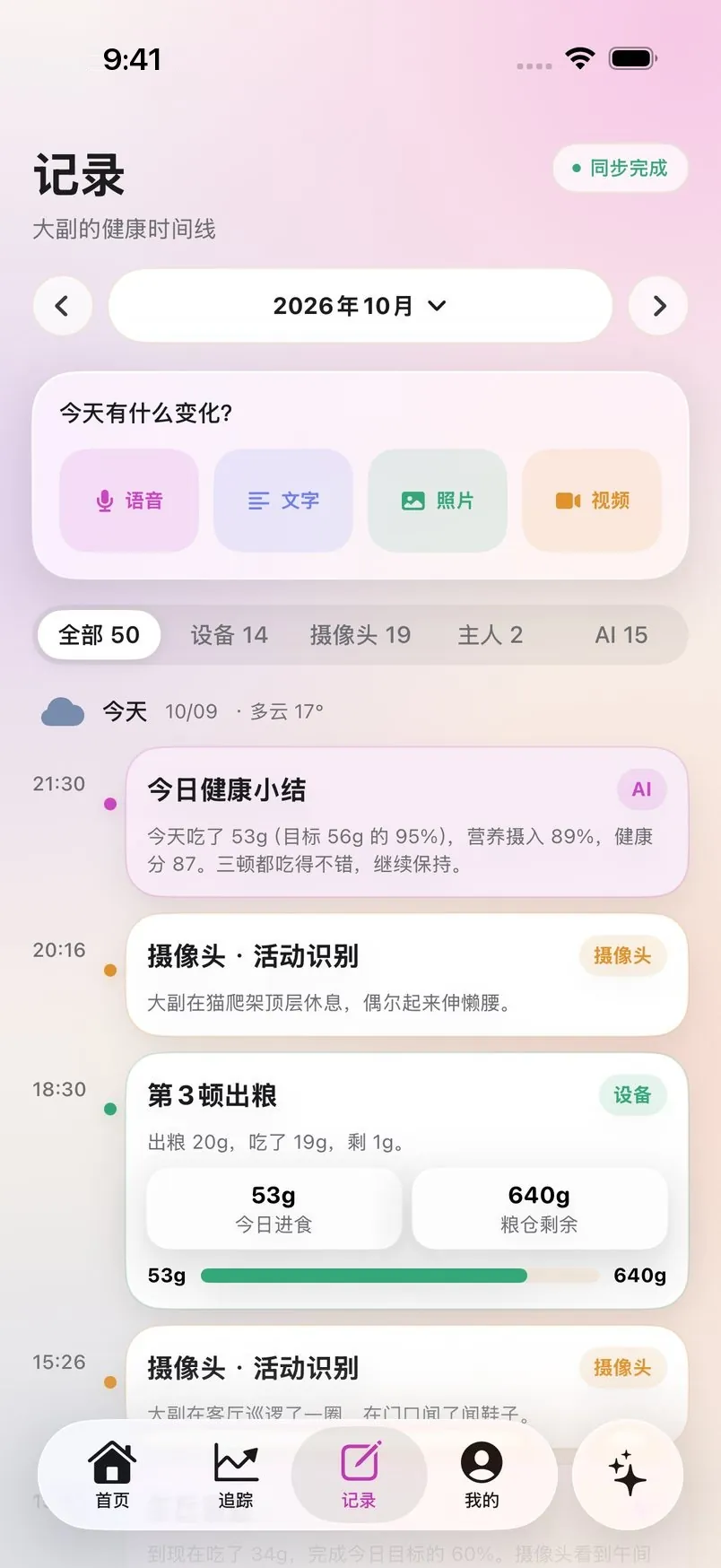 记录